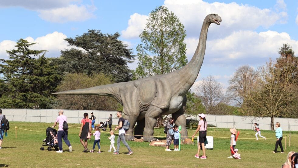 custom animatronics for parks and events