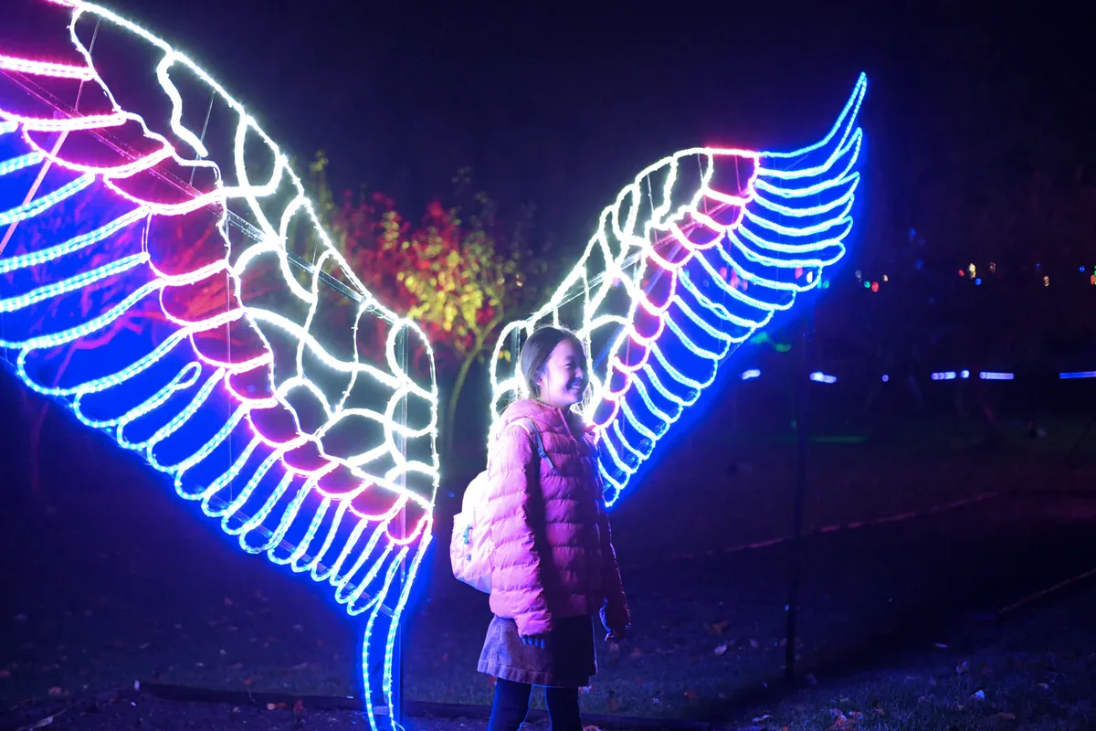 large outdoor christmas decorations for public venues