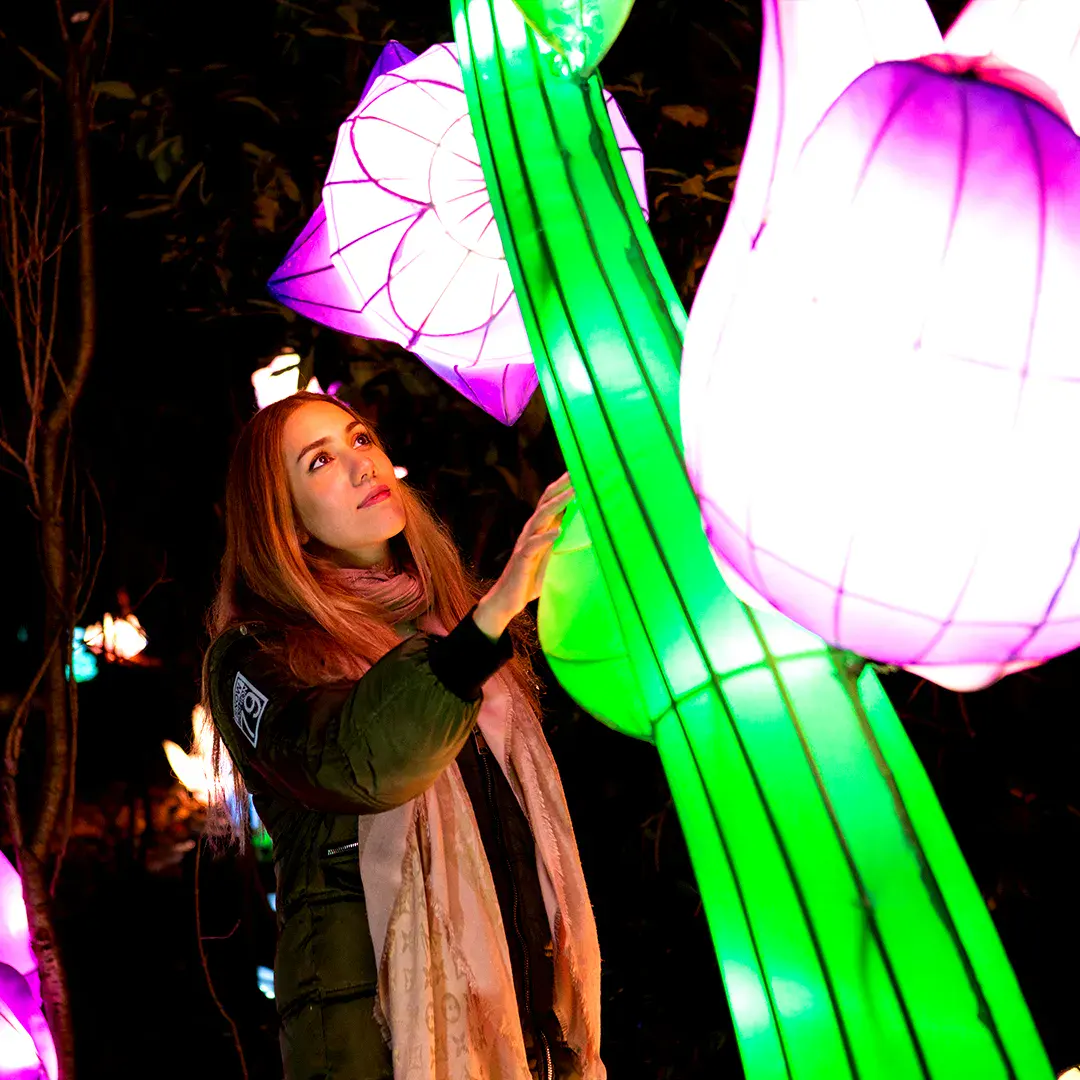 how to choose a lantern display buyer guide